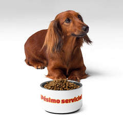 ¡Pésimo servicio! | Plato para mascota