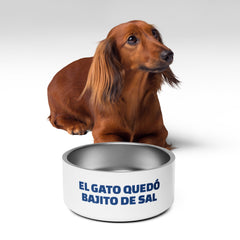El gato quedó bajito de sal | Plato para mascota