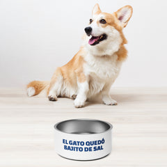 El gato quedó bajito de sal | Plato para mascota