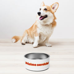 ¡Pésimo servicio! | Plato para mascota