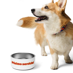¡Pésimo servicio! | Plato para mascota