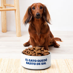 El gato quedó bajito de sal | Plato para mascota