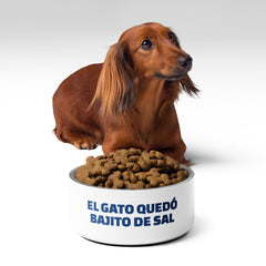 El gato quedó bajito de sal | Plato para mascota