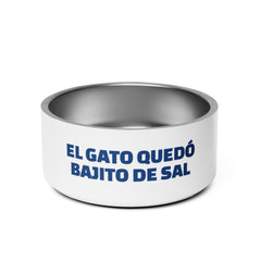 El gato quedó bajito de sal | Plato para mascota