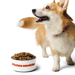 ¡Pésimo servicio! | Plato para mascota